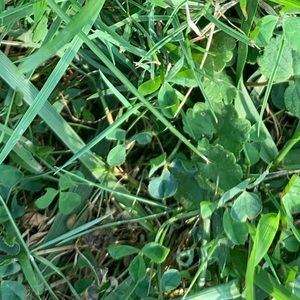 Meet your Posher, Nicholas